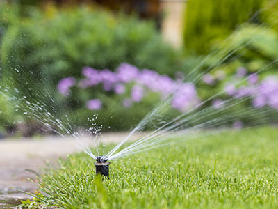 Drip Irrigation, Cottonwood, AZ